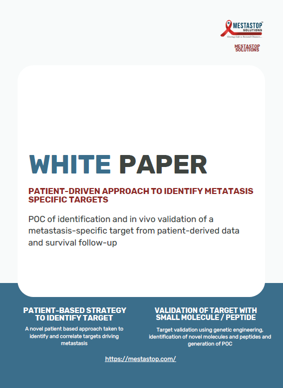 White Paper