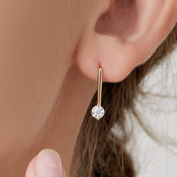 2 Carat Round Hook Lab Grown Diamond Earrings - Image 4